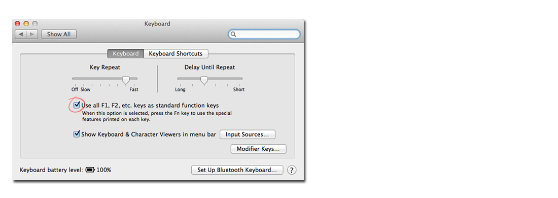 Setting up Apple function keys